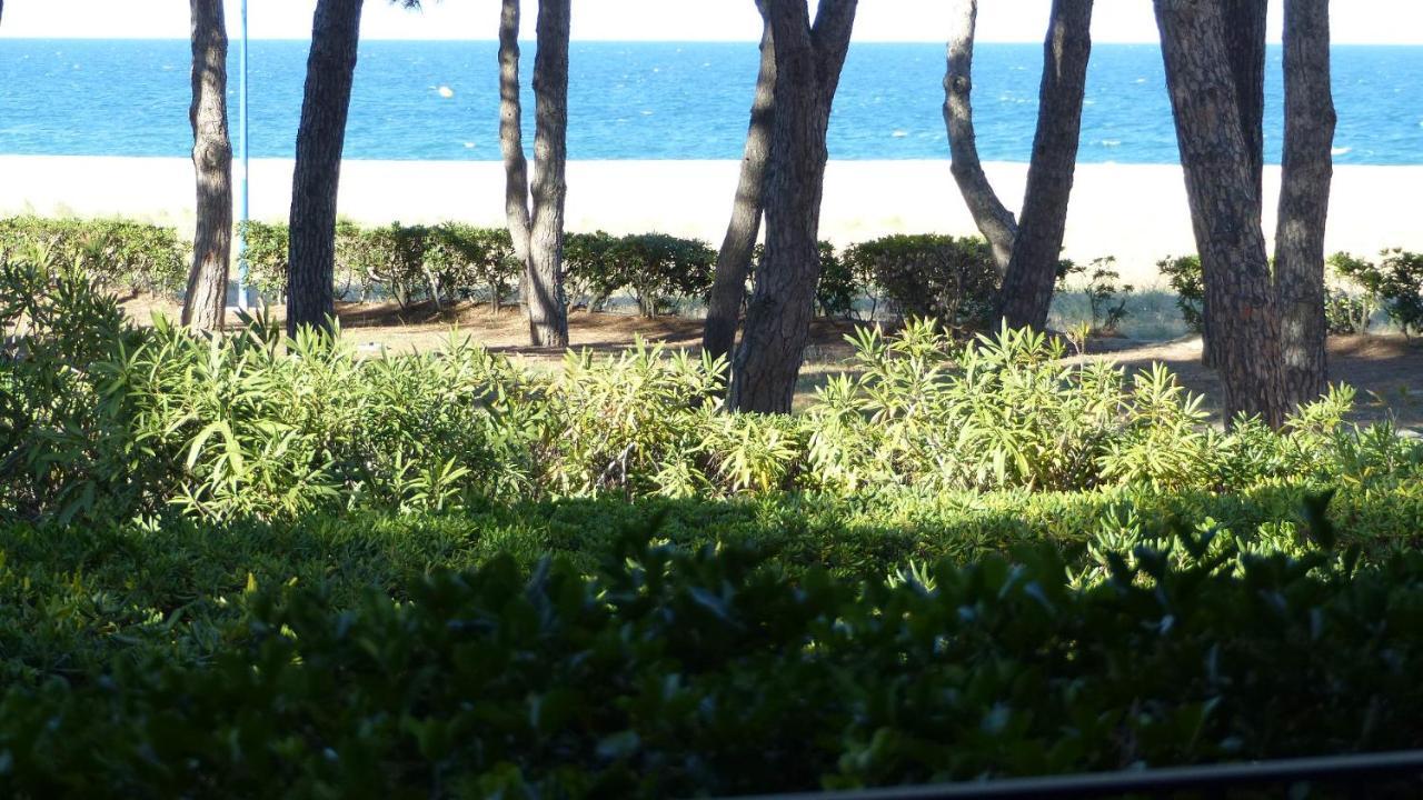 Belle Vue Au Calme Sur La Plage アルジェレス・シュル・メール エクステリア 写真